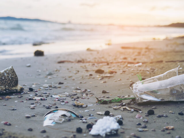 Plaisancier responsable : Comment gérer ses déchets en mer ?